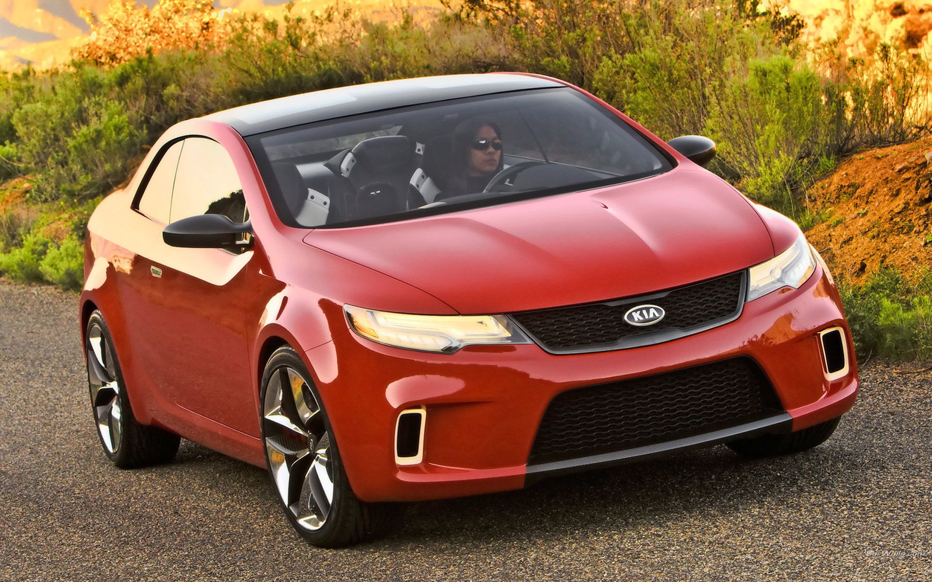  Kia Motors представили новый купе 